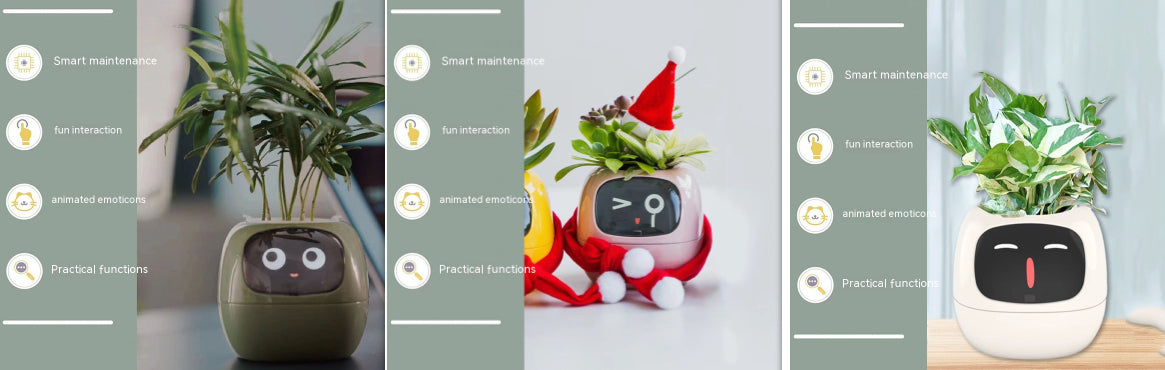 Smart Planter