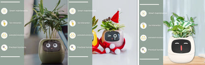 Smart Planter