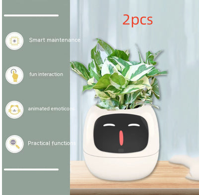 Smart Planter with vibrant greenery, showcases intelligent maintenance and fun interaction features.